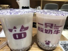 酸奶牛加盟创业项目，打造健康饮品连锁品牌的成功之路