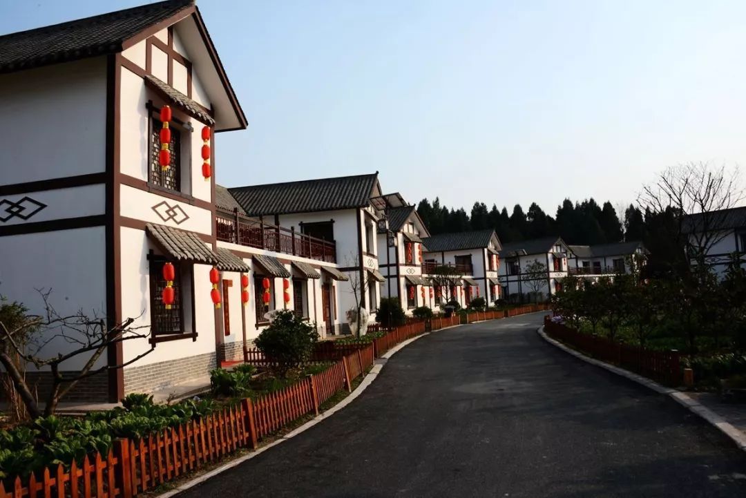 加盟餐饮项目推荐农村小院，挖掘乡村经济的新机遇