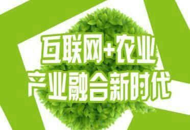 山东农业加工项目加盟条件