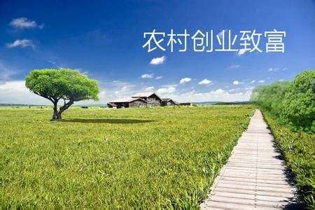 农村加盟创业，实现乡村振兴之梦想