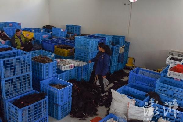 周口家庭小工厂项目加盟，打造家居创业新篇章