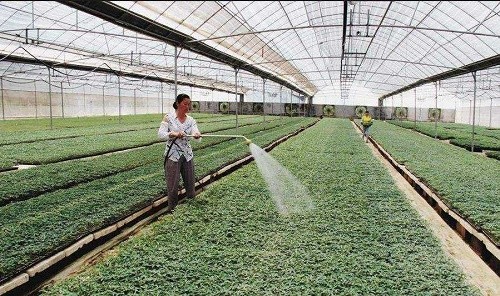 靠谱的种植加盟项目，机遇与挑战