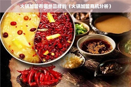 武安火锅店项目加盟，商机、挑战与成功要素