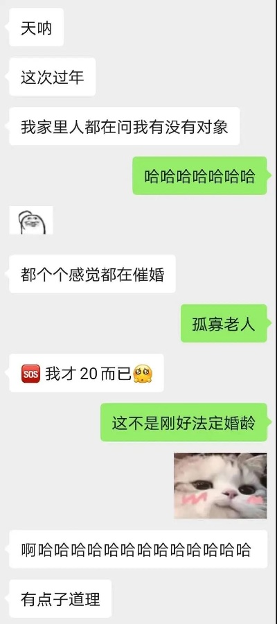 如何查询女朋友出轨了监控对方聊天记录（如何查询女朋友出轨了监控对方聊天记录呢）