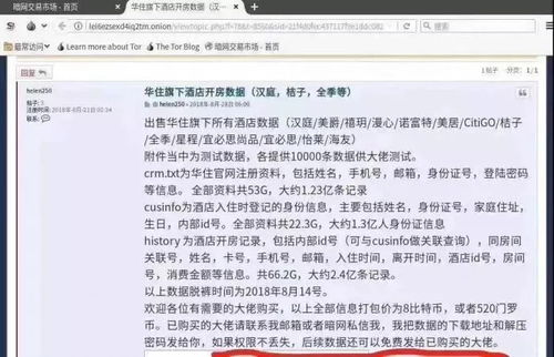 查宾馆记录文案怎么写啊 查酒店宾馆记录亲亲自媒体