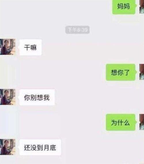 看已删除好友的聊天记录—《必看介绍》