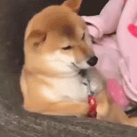 查询别人微信聊天