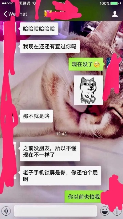 怎么查看女友的手机信息?