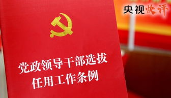 官员提拔会查开房记录 官员调查期间会公示吗