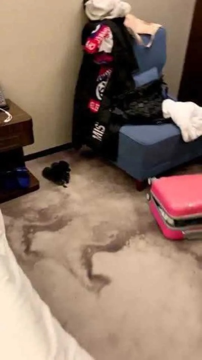 开房记录尼玛我还劈个球