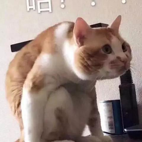 开房记录在哪可以查到