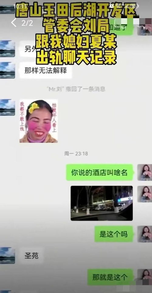 开房记录视频下载