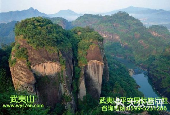 南平致富项目加盟电话地址——探索武夷山脉下的财富之路