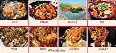 新疆创业餐饮项目加盟培训，开启您的美食之旅