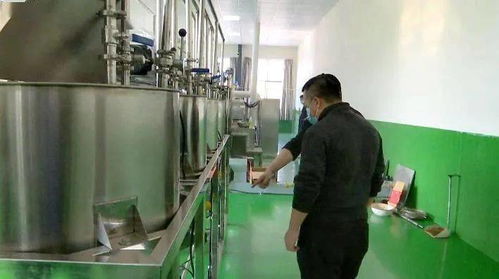 加盟农村加工厂项目，探索与机遇