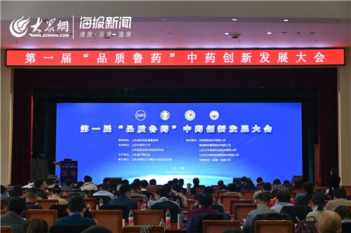 济南中医加盟项目网，引领中医药健康产业的创新平台