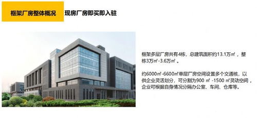 泰安项目加盟招商电话地址——连接未来，共创辉煌