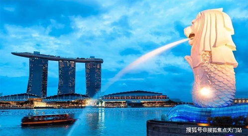 郴州本地加盟项目电话地址