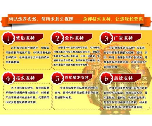 陕西创业代理加盟项目排名