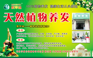 吉安养发项目加盟条件详解