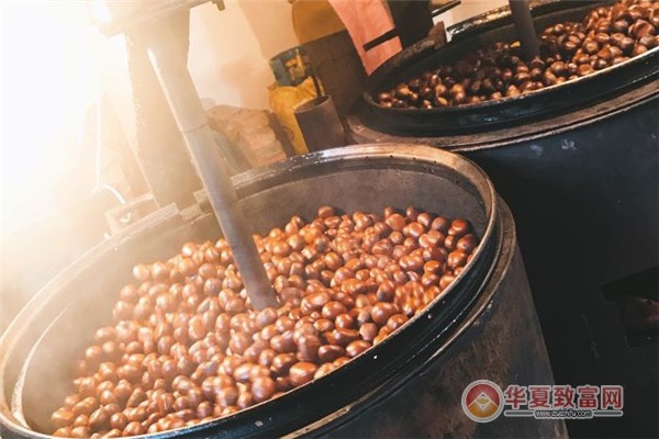 栗子项目加盟赚钱，轻松实现财富自由！