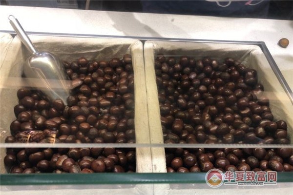 栗子项目加盟赚钱，轻松实现财富自由！