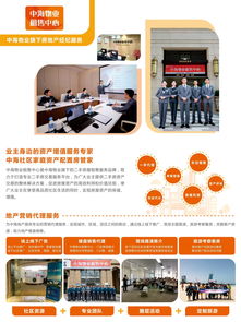 深圳旅游平台代理加盟项目，共创美好未来