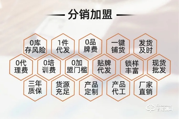 创业项目快速加盟方案