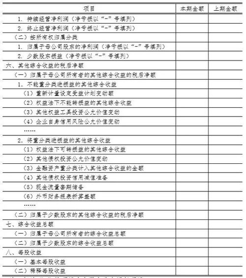 加盟项目利润表模板