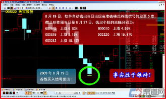 免费加盟代理代软件项目，实现财富自由的明智选择