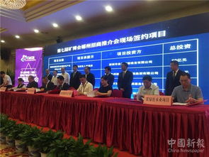 内丘县招商加盟项目，共创未来，实现双赢