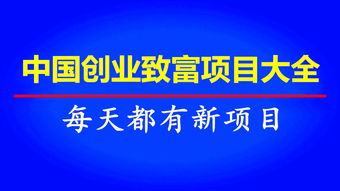四川致富项目加盟，实现财富增长的秘诀