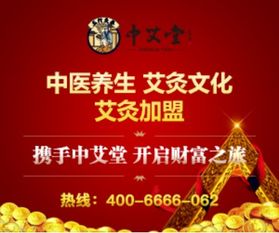 武冈艾灸养生馆项目加盟，传承与创新