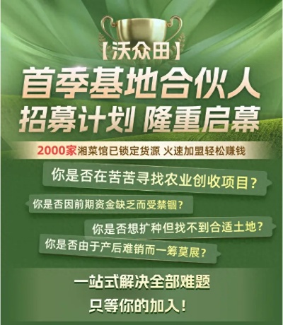 农村加盟项目哪个软件好？