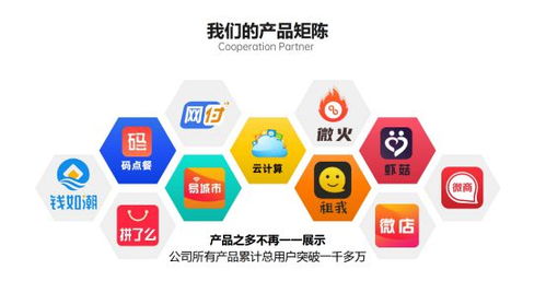 智慧经营项目系统加盟，开启您的财富之旅