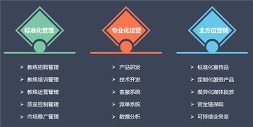 菜鸟招商加盟项目一览