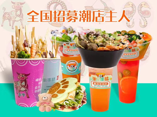 滨州加盟项目排行榜