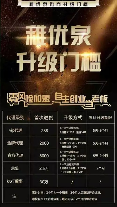 咸宁代理商加盟项目，探索、机遇与挑战