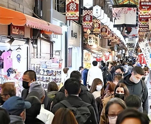 韩国旅游加盟项目前景