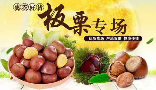 惠农项目加盟费多少？