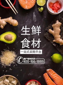 餐饮加盟项目，从构思到实现的全面指南