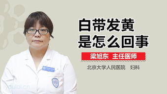 甘肃儿童项目加盟哪家好