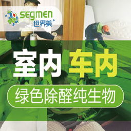 除甲醛项目加盟哪个好
