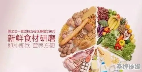 养生健康美食项目加盟，共创健康餐饮新篇章