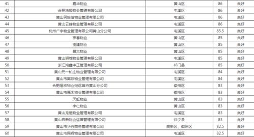 芜湖加盟盈利项目公司排名