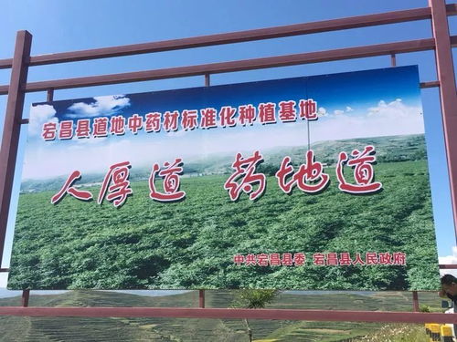 药材种植项目招商加盟，共创财富新篇章