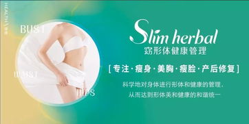济宁减肥养生培训项目加盟，让你轻松拥有健康与美丽