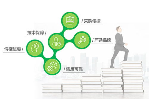 加盟连锁项目流程表格图