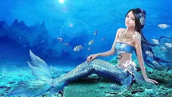 柳州美人鱼项目加盟，实现你的梦幻事业
