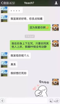 怎么才能查询女朋友微信聊天记录,【看这4种方法】